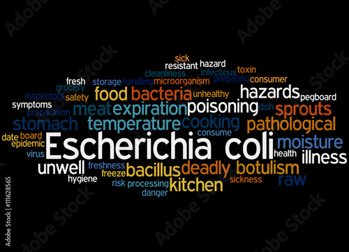 Escherichia coli  word cloud concept 2