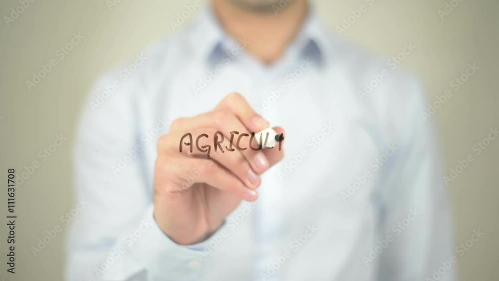 Agriculture, man writing on transparent screen