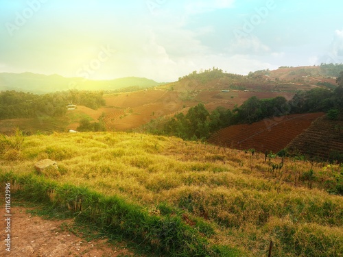 Mountain agriculture or Mountain Farming at Chiang Mai in the north of thailand