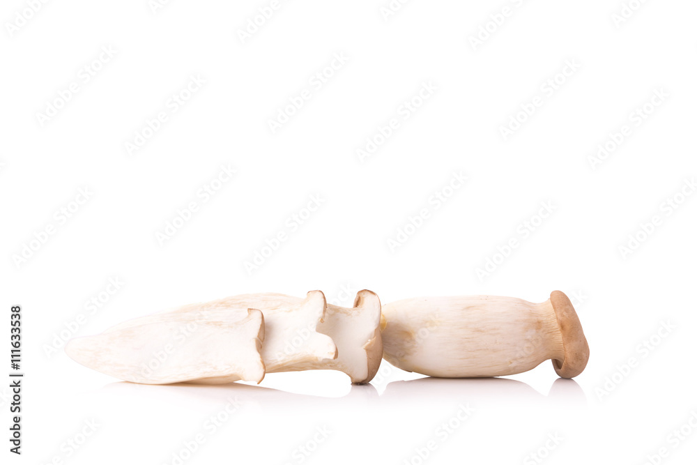 King Oyster mushroom (Eringi) on white backgroud King Oyster mushroom (Eringi) on white backgroud