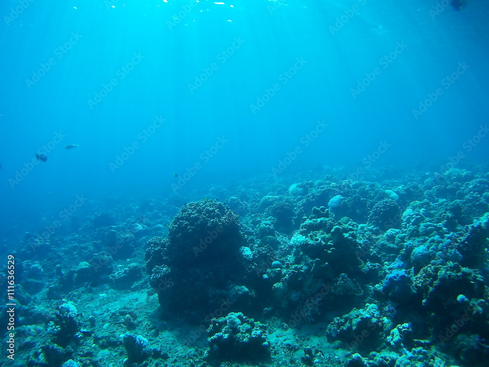 Underwater landmark and part of the main land. Amed village, Bali, Indonesia