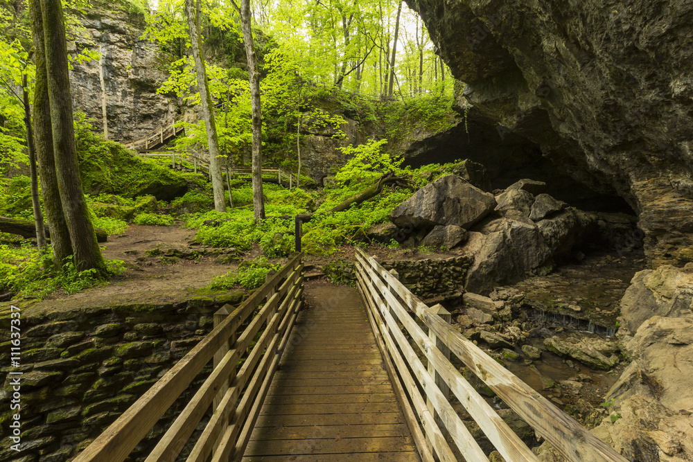 Fototapeta premium Bridge To Cave / A footbridge crossing a stream and leading towards a cave entrance.