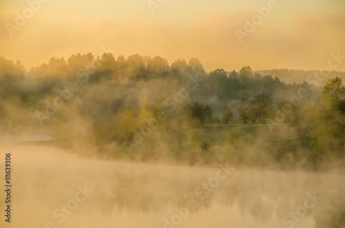 morning fog. around the lake grow birch .