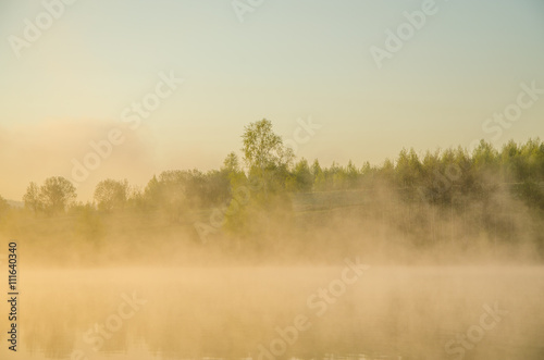 morning fog. around the lake grow birch .