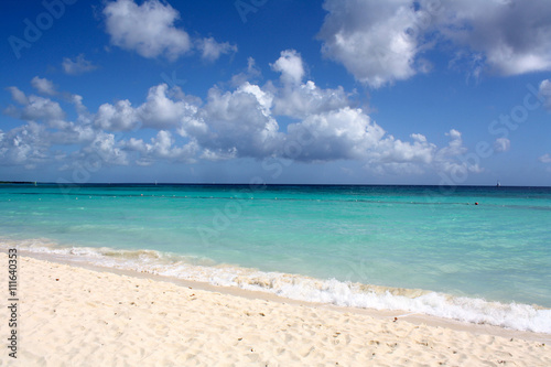 Beach in the Caribbean © crisaracena