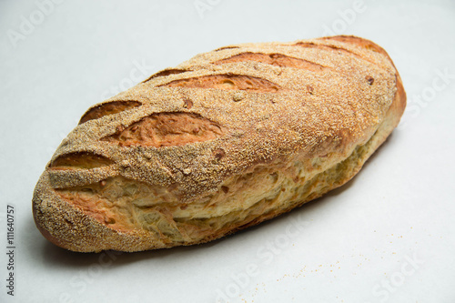 Fresh whole grain bread