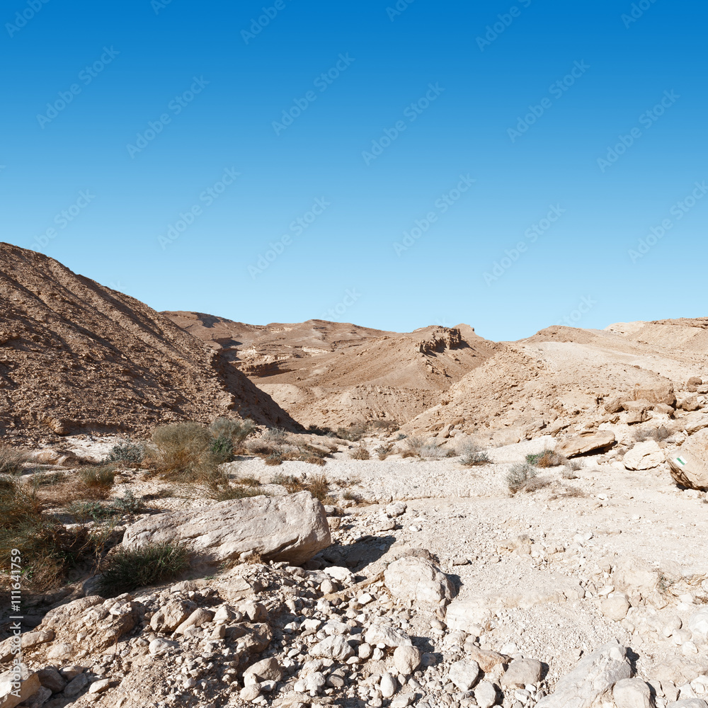 Negev Desert