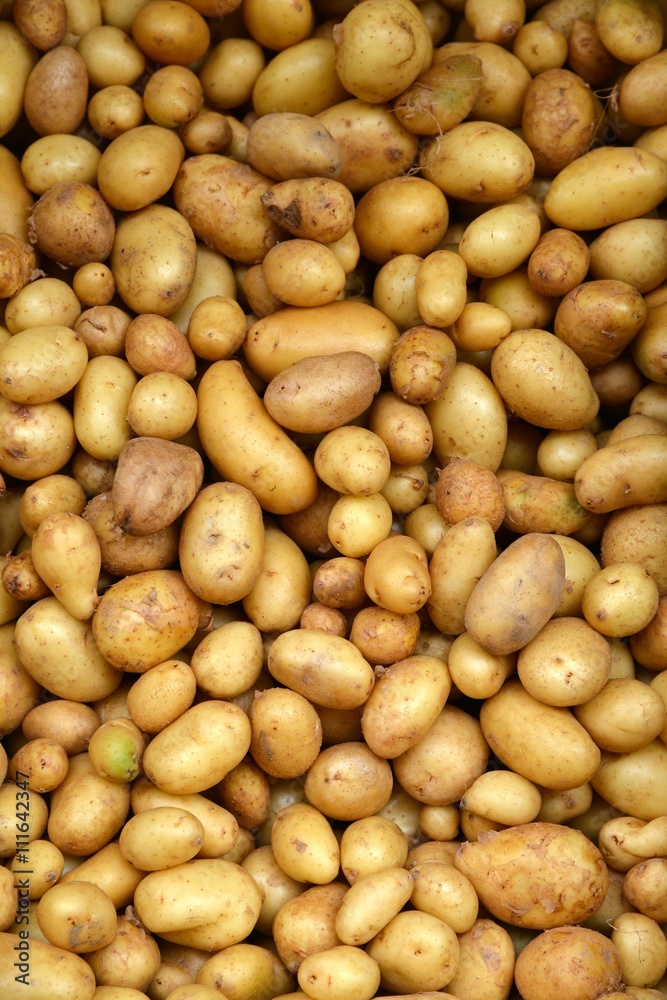 Potatoes. Fresh potatoes, on market. Potatoes background. Potatoes. Fresh potatoes, on market. Potatoes background.