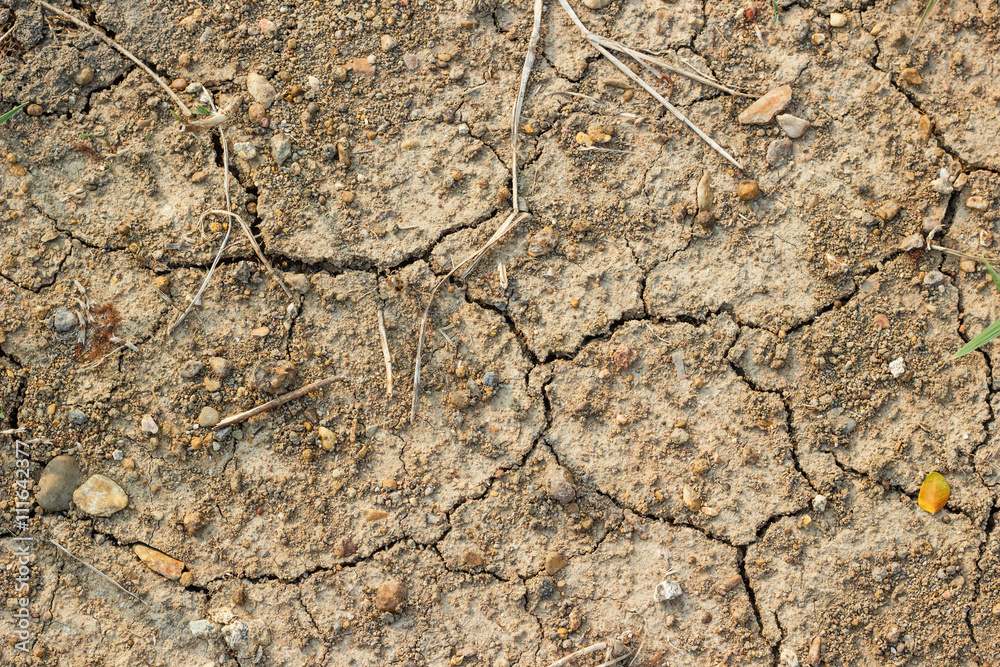 Fototapeta premium Close up of muddy