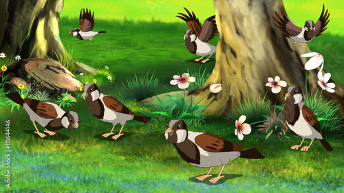 Flock of Sparrows ..Feeding in the Forest