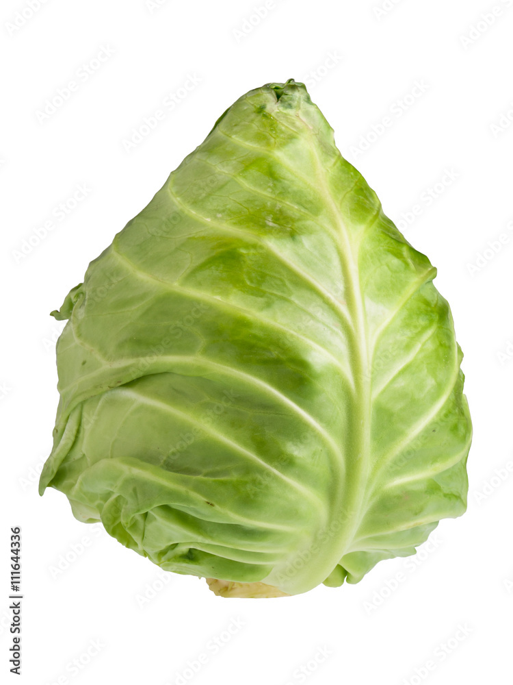 Cabbage isolated on white background Cabbage isolated on white background