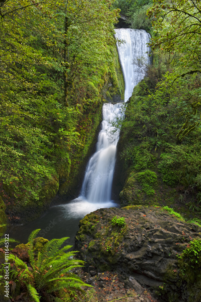 Breidal Veil Falls, Columbia River Gorge Scenic Area, Oregon