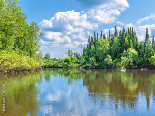 Siberian taiga.
