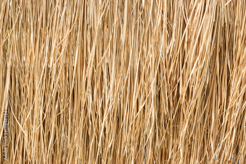 Close up yellow straw wall texture backgrond photo