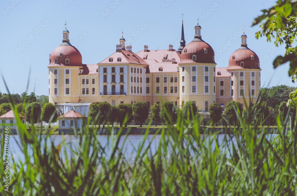 Moritzburg Castle, spring, reeeds on foreground, Dresden District, Germany