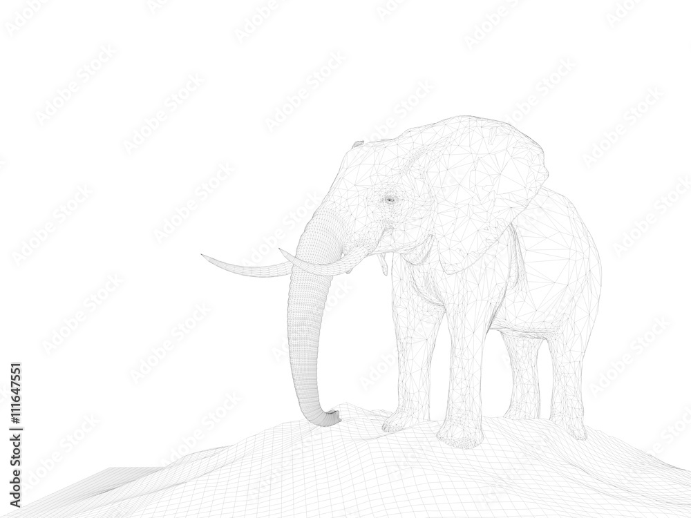 3d wireframe animal
