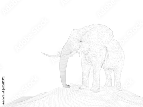 3d wireframe animal