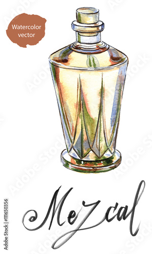 Mexican drink "Mezcal" from agave cactus