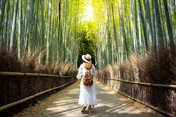 Fotobehang Japan Wandeling door bamboebos Arashiyama Kyoto  © newroadboy