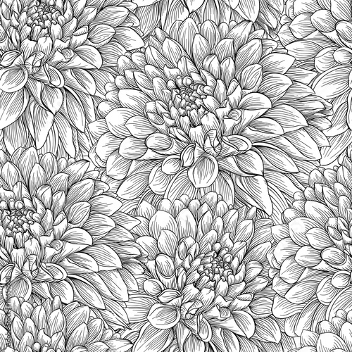 beautiful black and white seamless pattern in dahlia. background for design for greeting card and invitation of the wedding  birthday  Valentine s Day  mother s day and other seasonal holiday