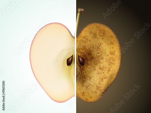 aging or skin care concept
