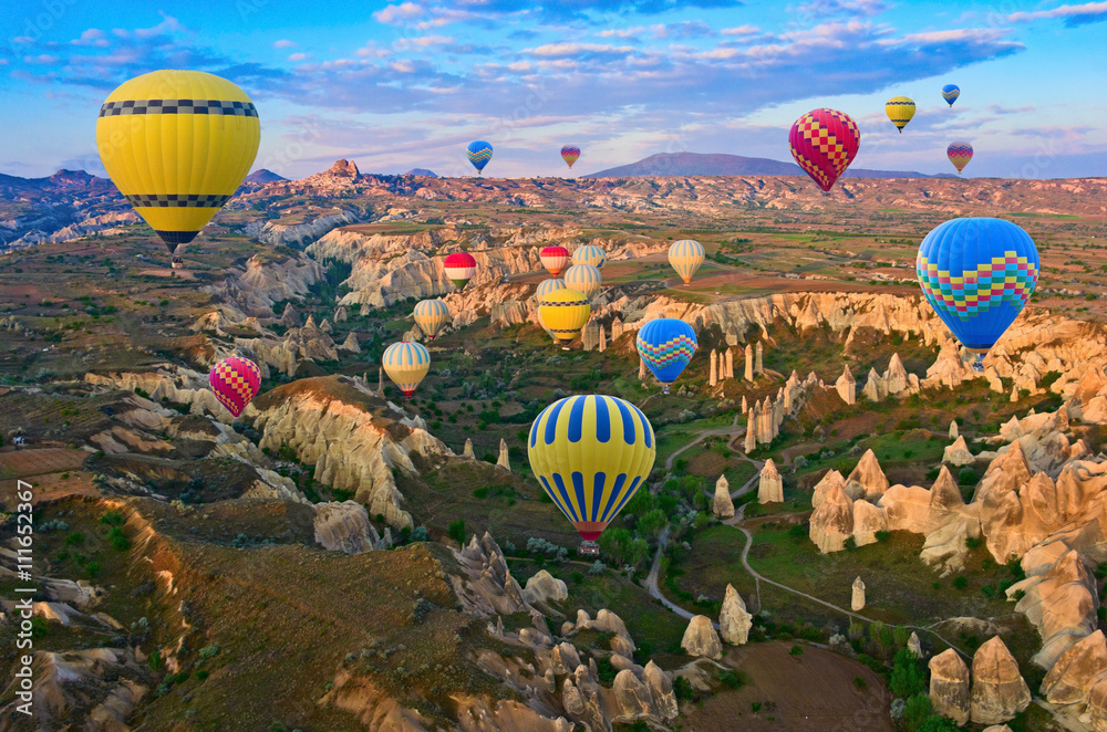 Fototapeta premium Balony na ogrzane powietrze w Kapadocji, Turcja
