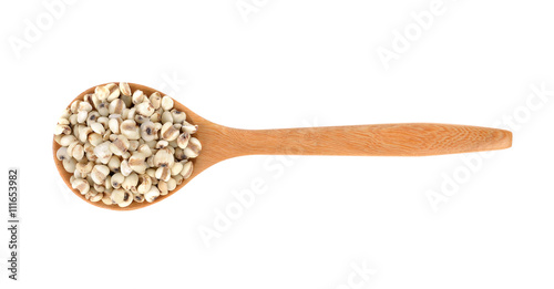 Millet rice, millet grains on white background