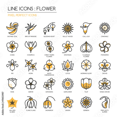 Flower, thin line icons set , Pixel perfect icons