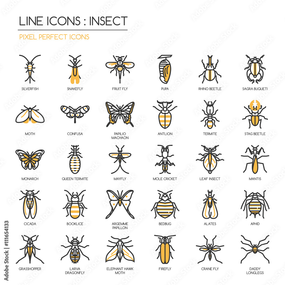 Insect , thin line icons set ,pixel perfect icon Stock Vector | Adobe Stock