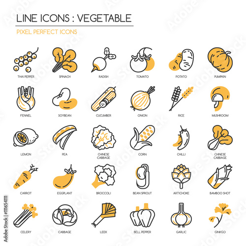 Vegetable , thin line icons set ,pixel perfect icon
