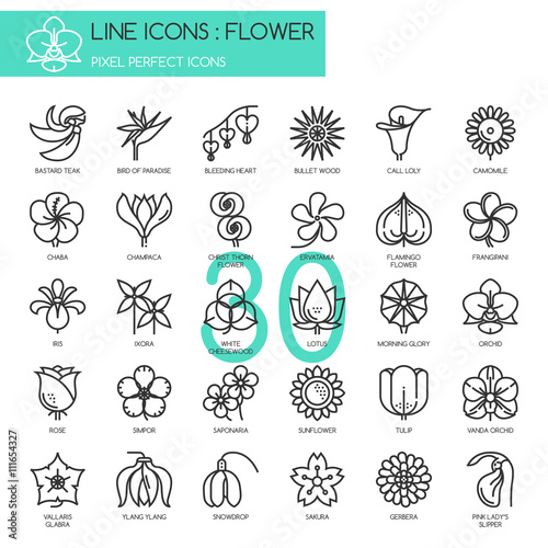 Flower, thin line icons set , Pixel perfect icons