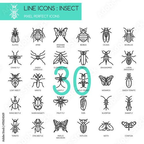 Insect , thin line icons set ,pixel perfect icon photo