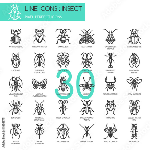 Insect , thin line icons set ,pixel perfect icon