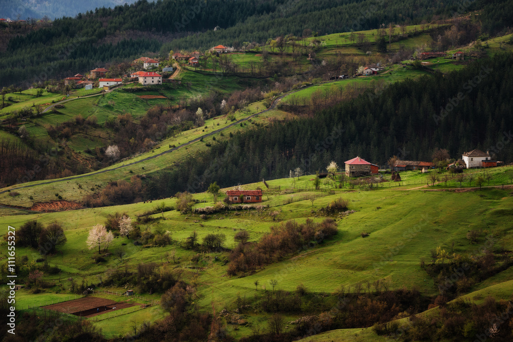 Borovitsa village in the spring, Eastern Rhodopes, Bulgaria