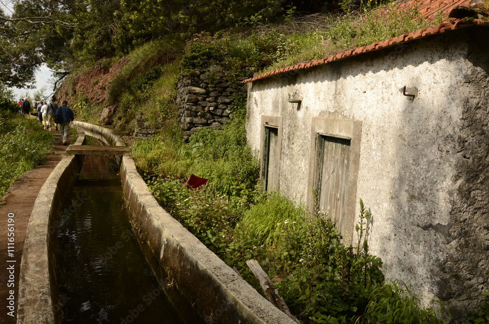 Vallée de Serra d’Agua : randonnée le long des levadas (Madère)