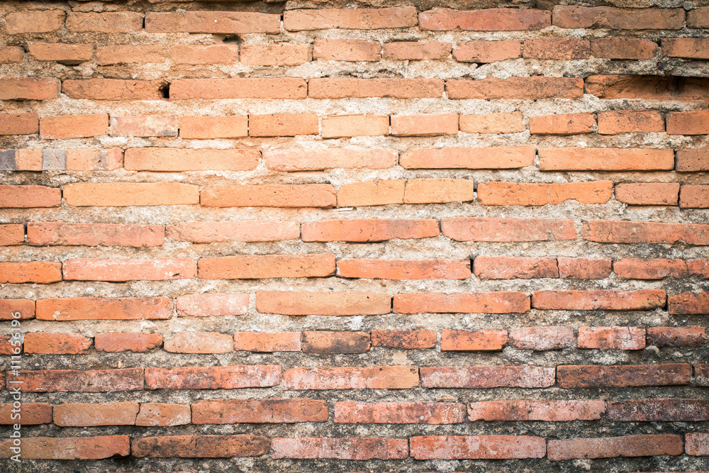 Obraz premium Moldy brick wall background
