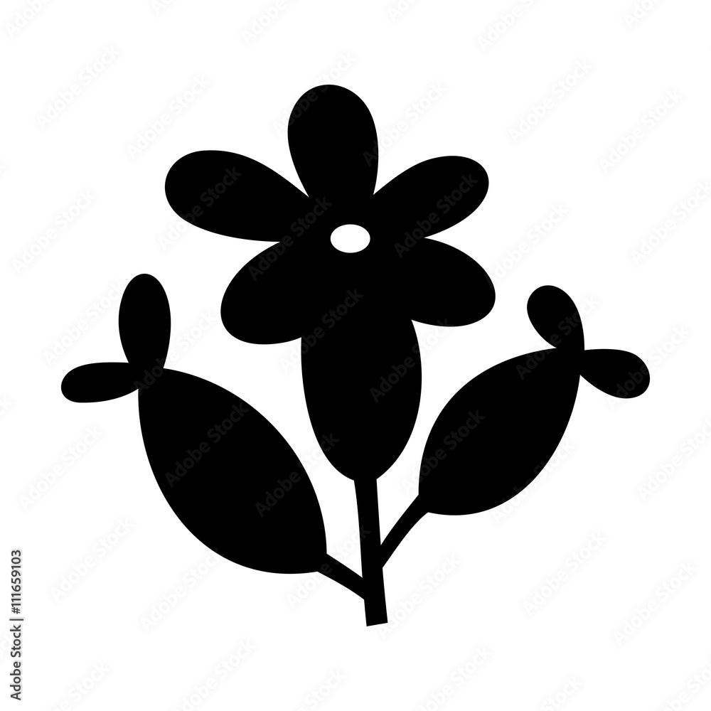 Lavender flower, shade picture Lavender flower, shade picture