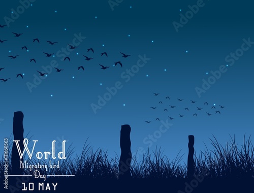 Migratory birds day on night background