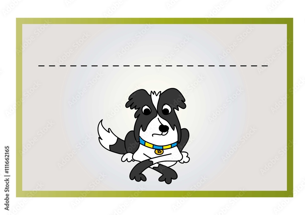 border collie border collie