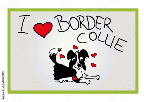 border collie