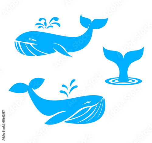 Whales icons. flat design elements. vector illustration.