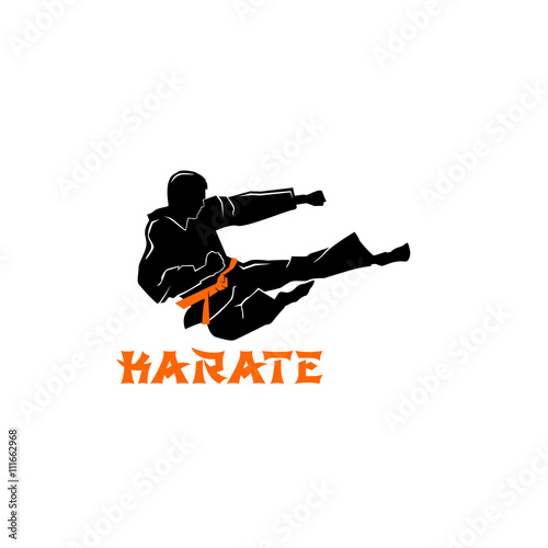 karate teakwondo image