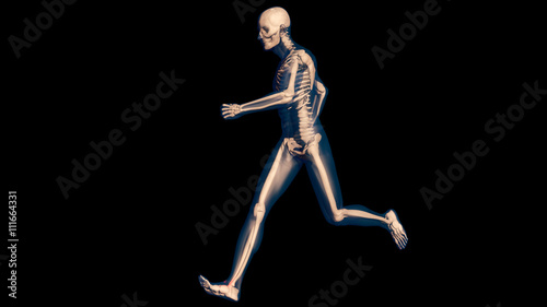 Ankle Pain in Human Body Transparent Design © boscorelli