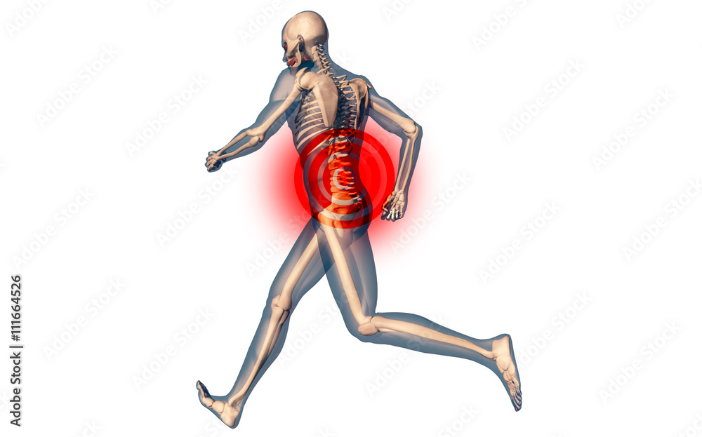 Lower Spine Pain in Human Body Transparent Design Lower Spine Pain in Human Body Transparent Design