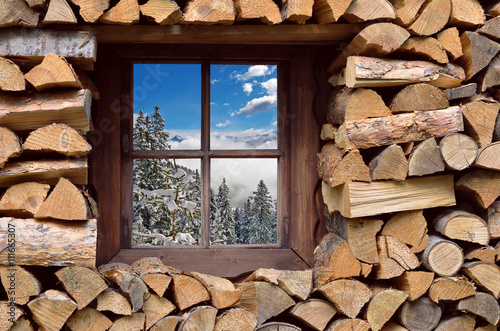 winter