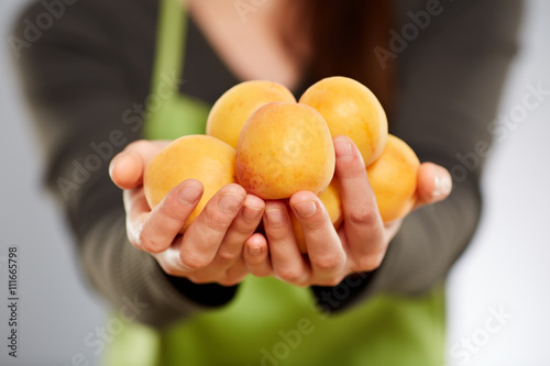 Hands of woman cook holding apricots