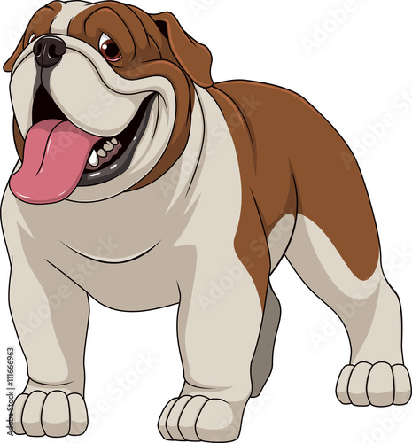 Funny dog