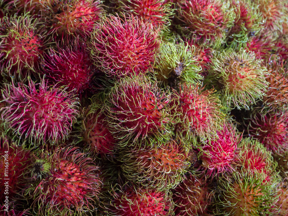rambutan tropical fruit Thailand rambutan tropical fruit Thailand