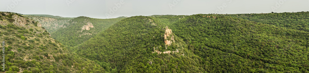 Εκτύπωση καμβά Monfort casrle in the forest panorama