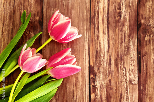 Tulips on wooden background